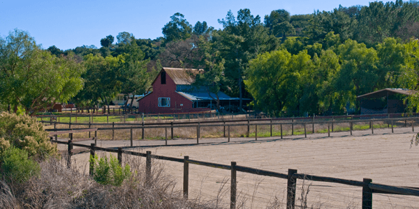 Estate Planning Guide